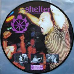 Shelter : The Power of Positive Thinking